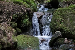Rissloch