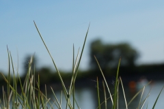 An der Donau