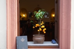 Heidelberg mediteran
