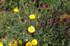 Blumengrüße