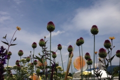 Blumengrüße
