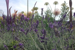Blumengrüße