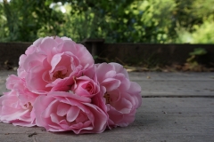 Blumengrüße