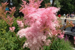 Blumengrüße