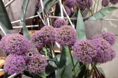 Blumengrüße