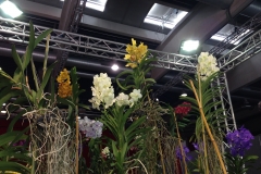 Orchideenwelt