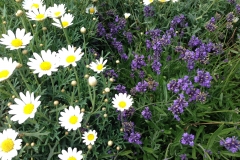 Blumengrüße