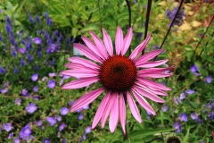 Blumengrüße