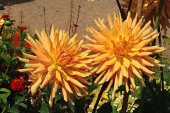 Blumengrüße