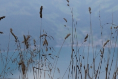 Am Wasser