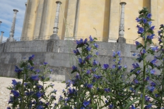 Blumengrüße