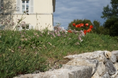 Blumengrüße