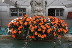Blumengrüße