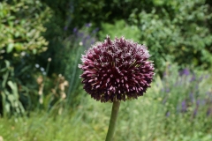 Blumengrüße