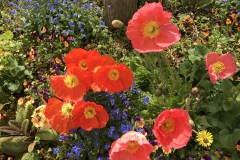 Blumengrüße