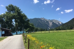 Zillertaler Gemälde