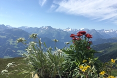 Kristallhütte mit Blumengruß