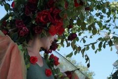 Rosenschmuck