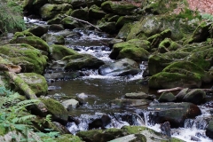 Steinklamm