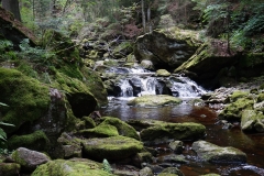 Steinklamm