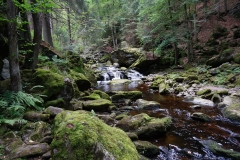 Steinklamm