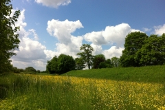 Im Grünen