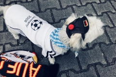 Luna im WM-Fieber
