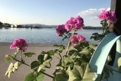 Impressionen Dalmatien