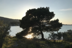 Impressionen Dalmatien