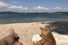 Wir genießen Kroatien!