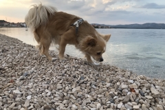 Emma auf Erkundungstour