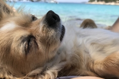Emma chillt in der Sonne