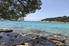 Slanica