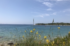 Küste Murter