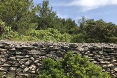 Küste Murter