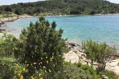 Küste Murter