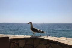 Besuch in Stella Maris