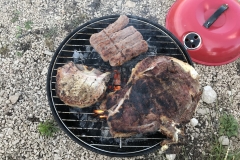 T-Bone crashed den Grill