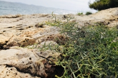 Impressionen Kroatien
