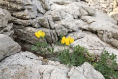 Impressionen Kroatien