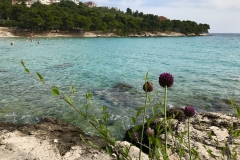 Slanica
