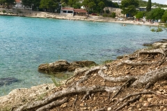 Slanica