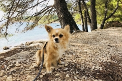 Emma on the beach