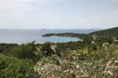 Inselblick
