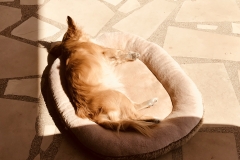 Emma´s Place