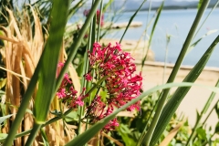 Impressionen