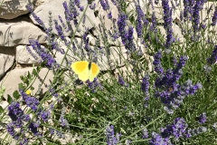 Impressionen