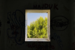Fensterblick