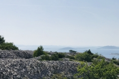 Inselblick