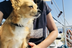 Emma bestaunt die Landschaft